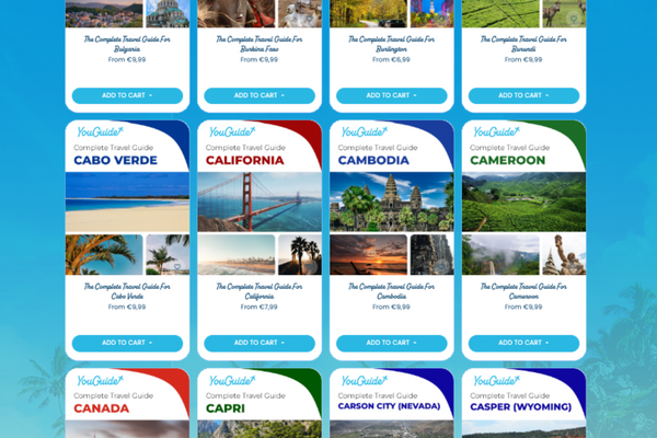 Ultimate Travel Guide, Language Guide, and Travel eSIM for a Seamless World Tour