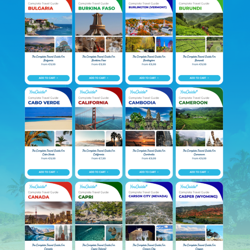 Ultimate Travel Guide, Language Guide, and Travel eSIM for a Seamless World Tour