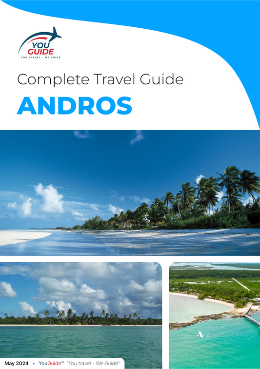 La guía de viaje completa para Andros (isla)